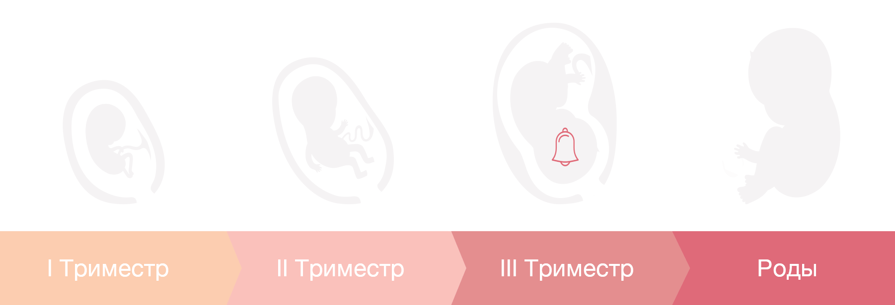 Менструация при беременности