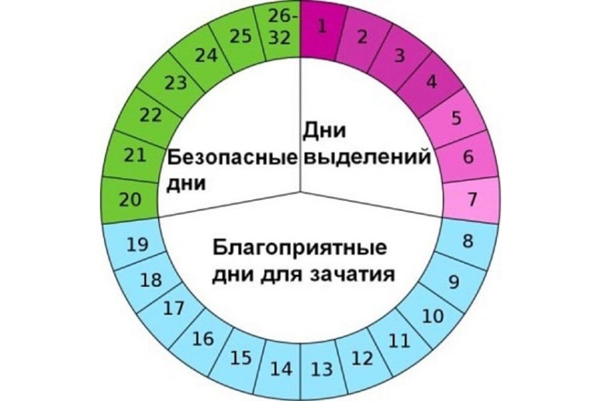 Когда у женщины происходит овуляция и когда она плодородна?