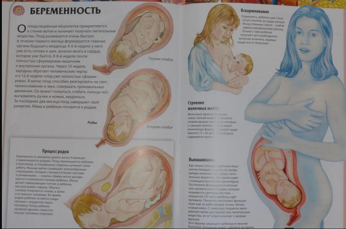 Беременность